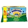 Ambrosia Devon Custard 6 X 120g