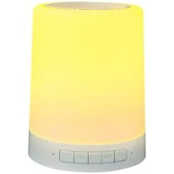 Goodmans Mood Light Speaker