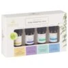 Essence Essential Oil Blend Set 4pk -Energizer Shop 378722 essence 4pk essential oil blends